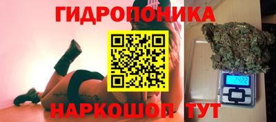 марихуана Кингисепп