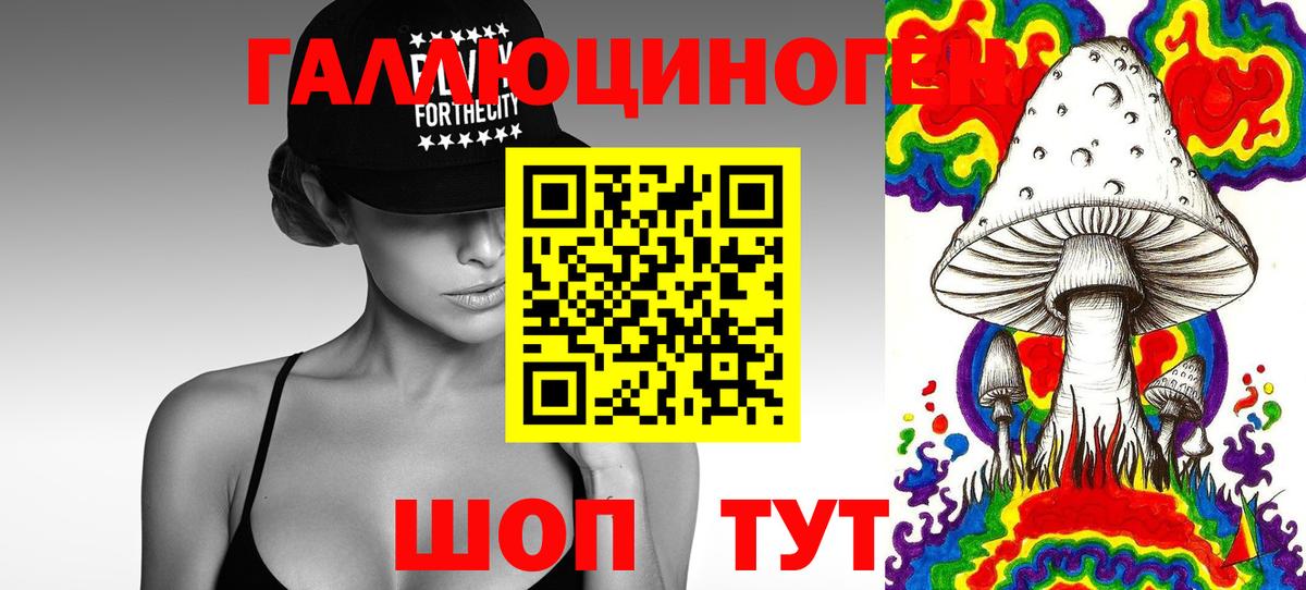 Псилоцибиновые грибы MAGIC MUSHROOMS Кандалакша